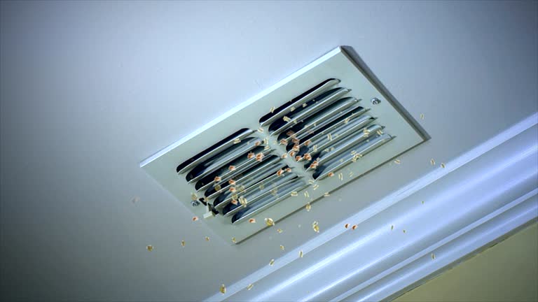 Best Commercial Air Duct Cleaning  in Lexington Park, MD