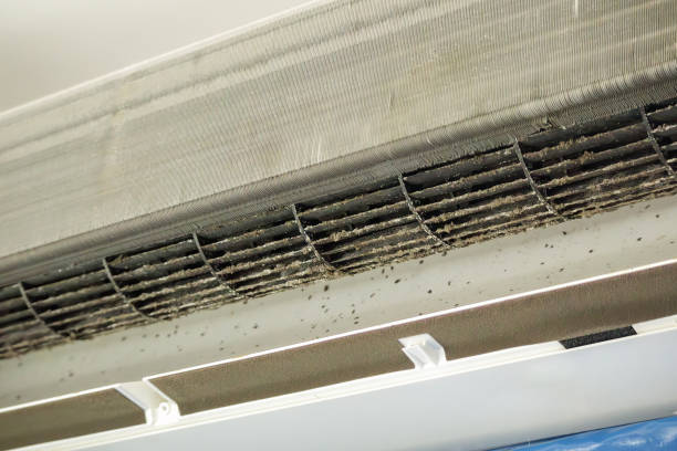 Home Air Vent Cleaning in Lexington Park, MD